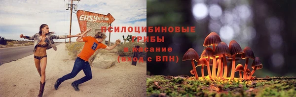 ALPHA PVP Ельня