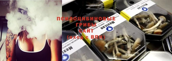 ALPHA PVP Ельня