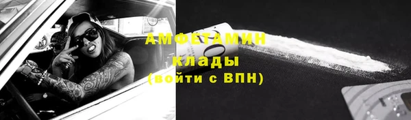 прущие грибы Дмитровск