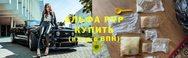 прущие грибы Дмитровск