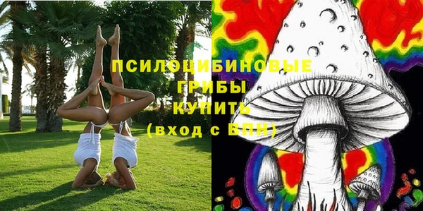 бутират Дмитриев