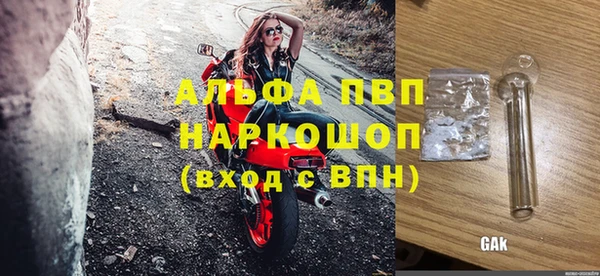 прущие грибы Дмитровск